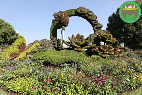 天河菊花展览与2022春节绿雕 匠心与苗木艺术的双璧