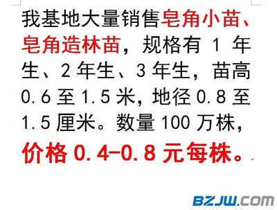【皂角小苗、皂角造林苗】_皂角小苗、皂角造林苗价格_皂角小苗、皂角造林苗厂家-到中华标准件网宁波站